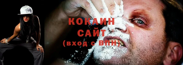 стафф Аркадак