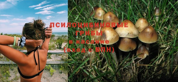 стафф Аркадак