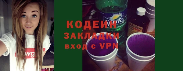 ПСИЛОЦИБИНОВЫЕ ГРИБЫ Арсеньев