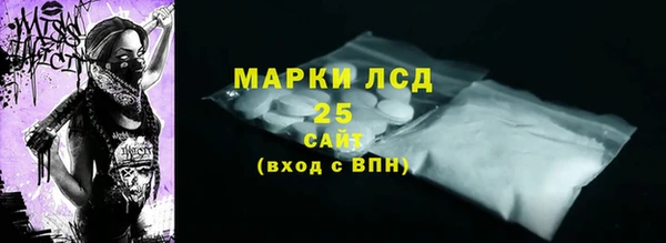 ПСИЛОЦИБИНОВЫЕ ГРИБЫ Арсеньев