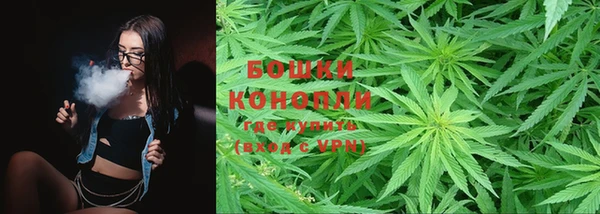 ПСИЛОЦИБИНОВЫЕ ГРИБЫ Арсеньев
