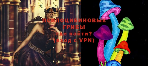 ПСИЛОЦИБИНОВЫЕ ГРИБЫ Арсеньев