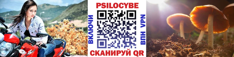 наркошоп  Похвистнево  это официальный сайт  Псилоцибиновые грибы MAGIC MUSHROOMS 